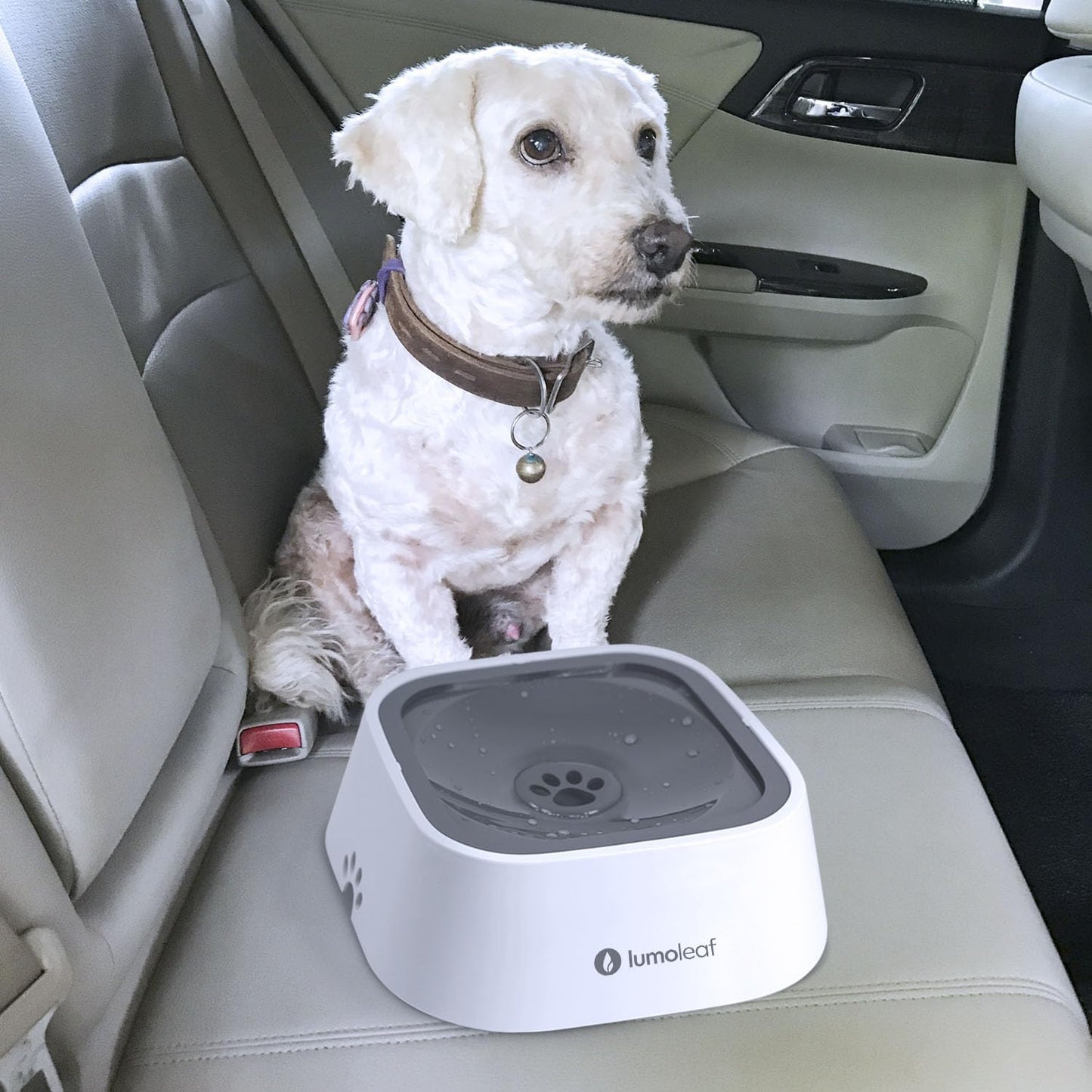 Dog Water Bowl, Dog Bowl No-Spill Pet Water Bowl 35Oz, Slow Water Feeder Dog Bowl, Vehicle Carried Dog Water Bowl for Dogs/Cats/Pets