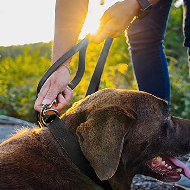 Dog Leash and Collar - Distressed Genuine Leather - Suitable for All Pet Sizes - Leather Leash - Premium Quality Dog Leash - 5 Ft Soft Leather Leash - Modern Dog Collar Leash - Black