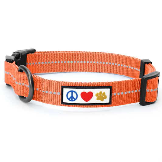 Dog Collar for Medium Dogs Training Puppy Collar with Solid - M - Blue