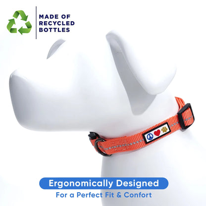 Dog Collar for Medium Dogs Training Puppy Collar with Solid - M - Blue